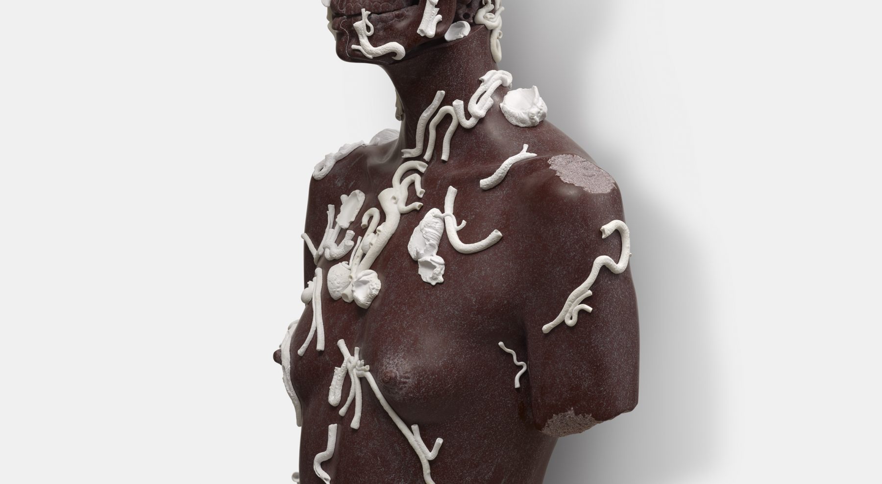 DAMIEN HIRST