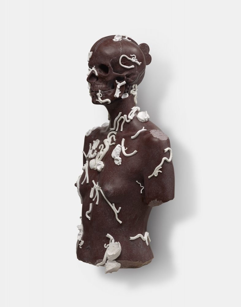 DAMIEN HIRST